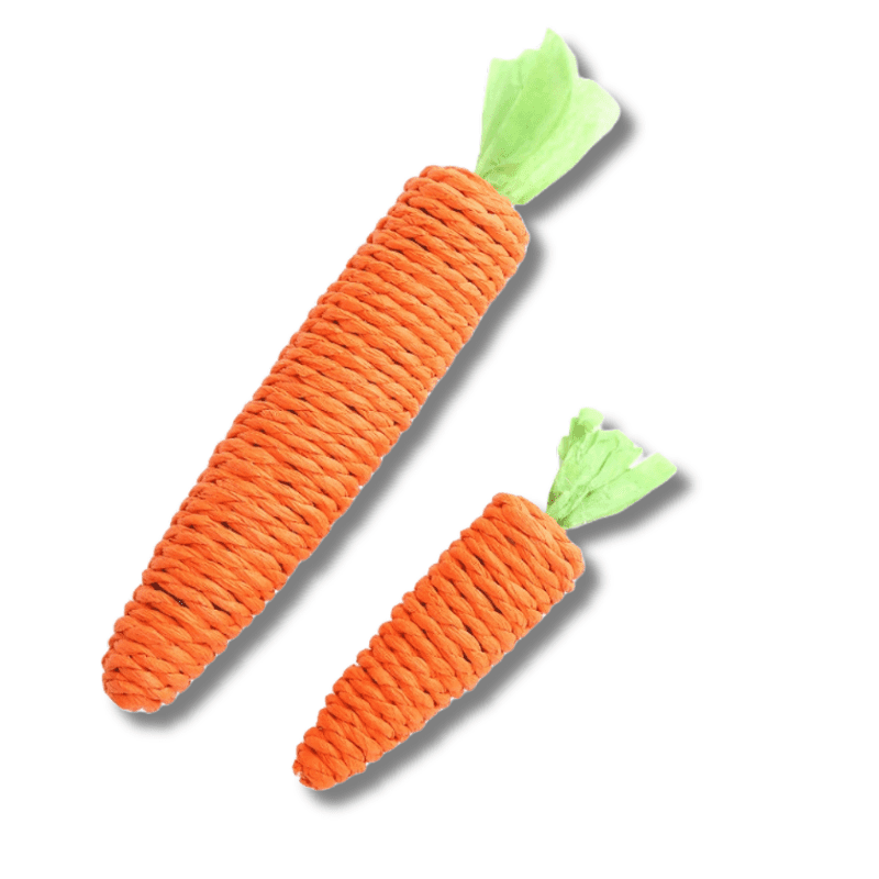 Kong carrot cat toy hotsell